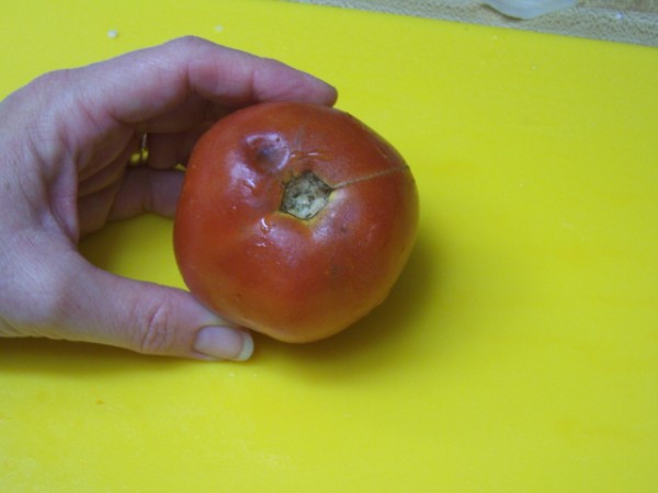 Suffed Zucchini Nancy Walker Healthy Eating